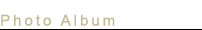 Photo Album